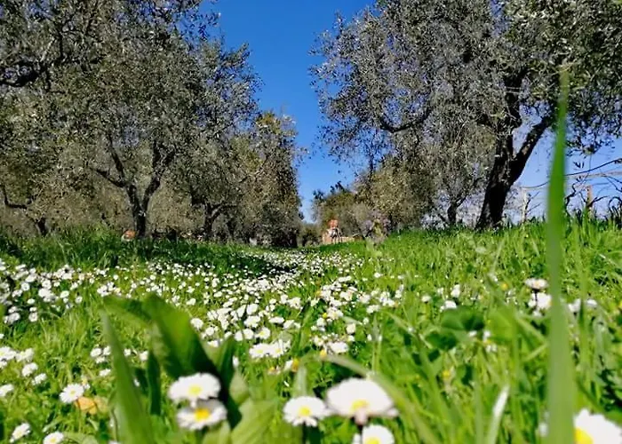 Ortona Holiday B&B Casa de hóspedes