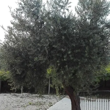 Ortona Holidays Guest House Maison d'hôtes Ortona