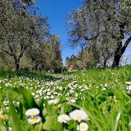 Ortona Holiday B&B Gasthof