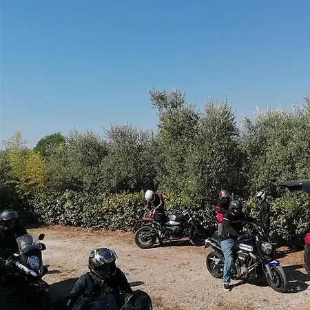 Ortona Holiday B&B Ortona